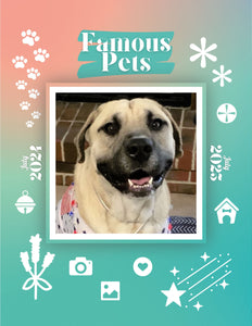 Famous Pets: July 2024-July 2025 Wall Calendar (Pre-Order)