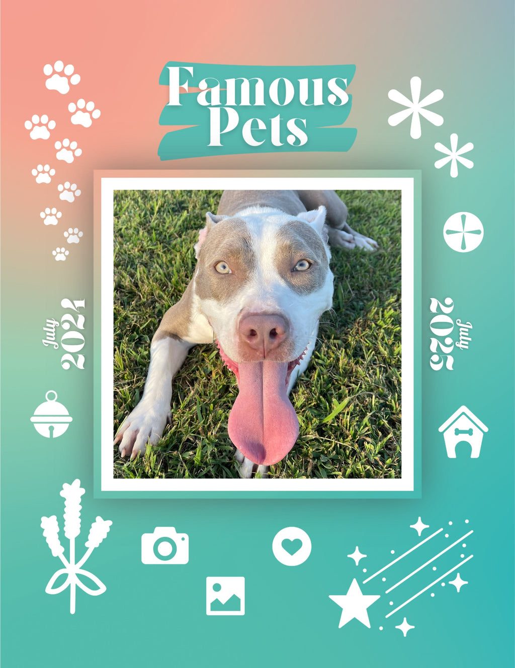 Famous Pets: July 2024-July 2025 Wall Calendar (Pre-Order)