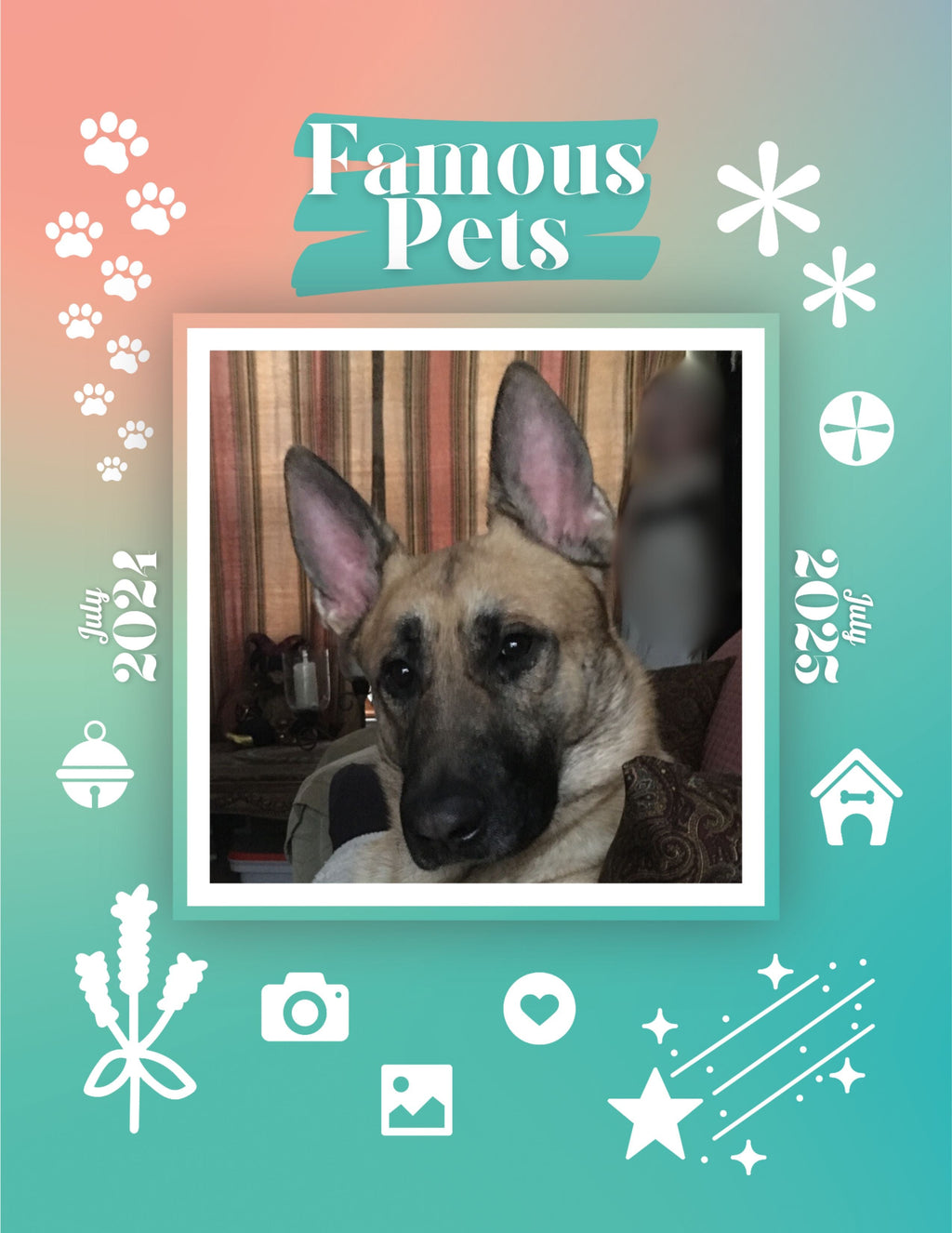 Famous Pets: July 2024-July 2025 Wall Calendar (Pre-Order)