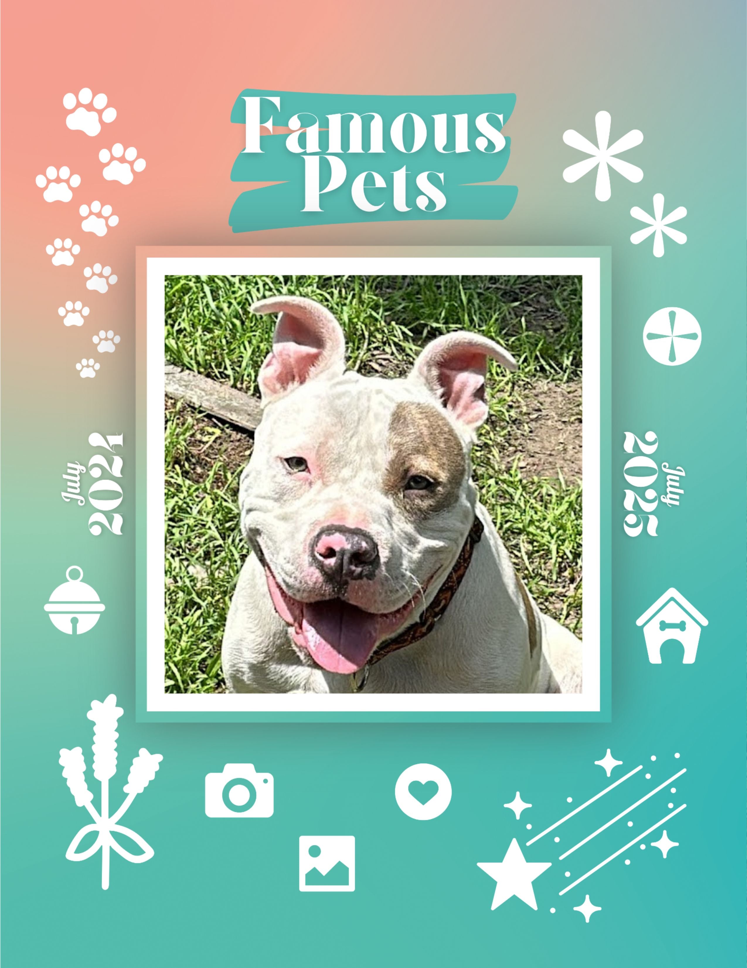 Famous Pets: July 2024-July 2025 Wall Calendar (Pre-Order)