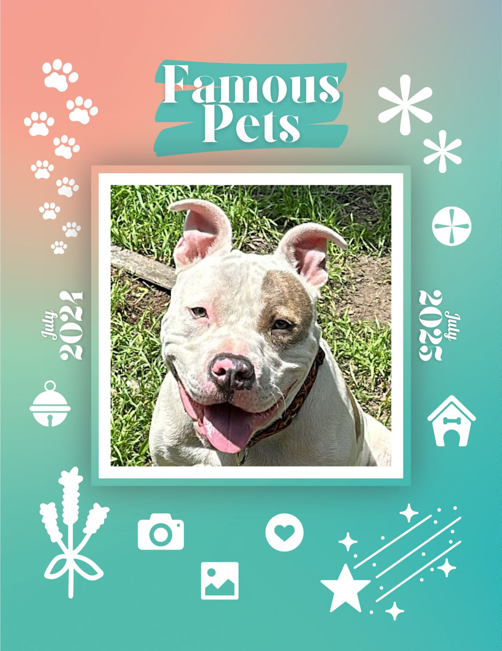 Famous Pets: July 2024-July 2025 Wall Calendar (Pre-Order)