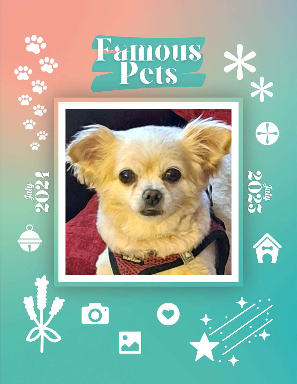 Famous Pets: July 2024-July 2025 Wall Calendar (Pre-Order)