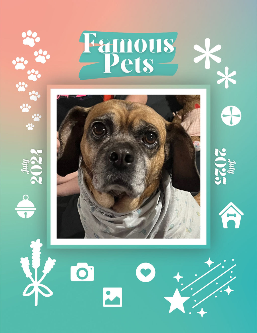 Famous Pets: July 2024-July 2025 Wall Calendar (Pre-Order)