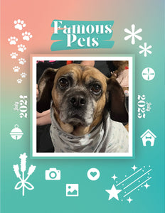 Famous Pets: July 2024-July 2025 Wall Calendar (Pre-Order)