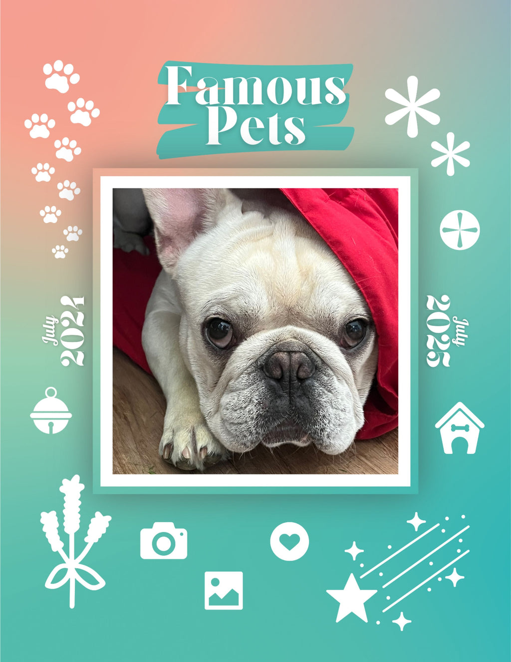 Famous Pets: July 2024-July 2025 Wall Calendar (Pre-Order)