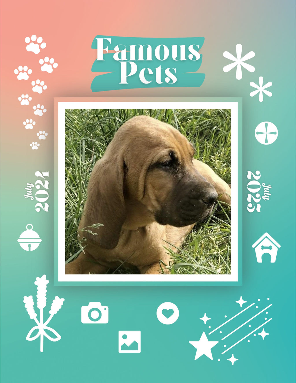 Famous Pets: July 2024-July 2025 Wall Calendar (Pre-Order)