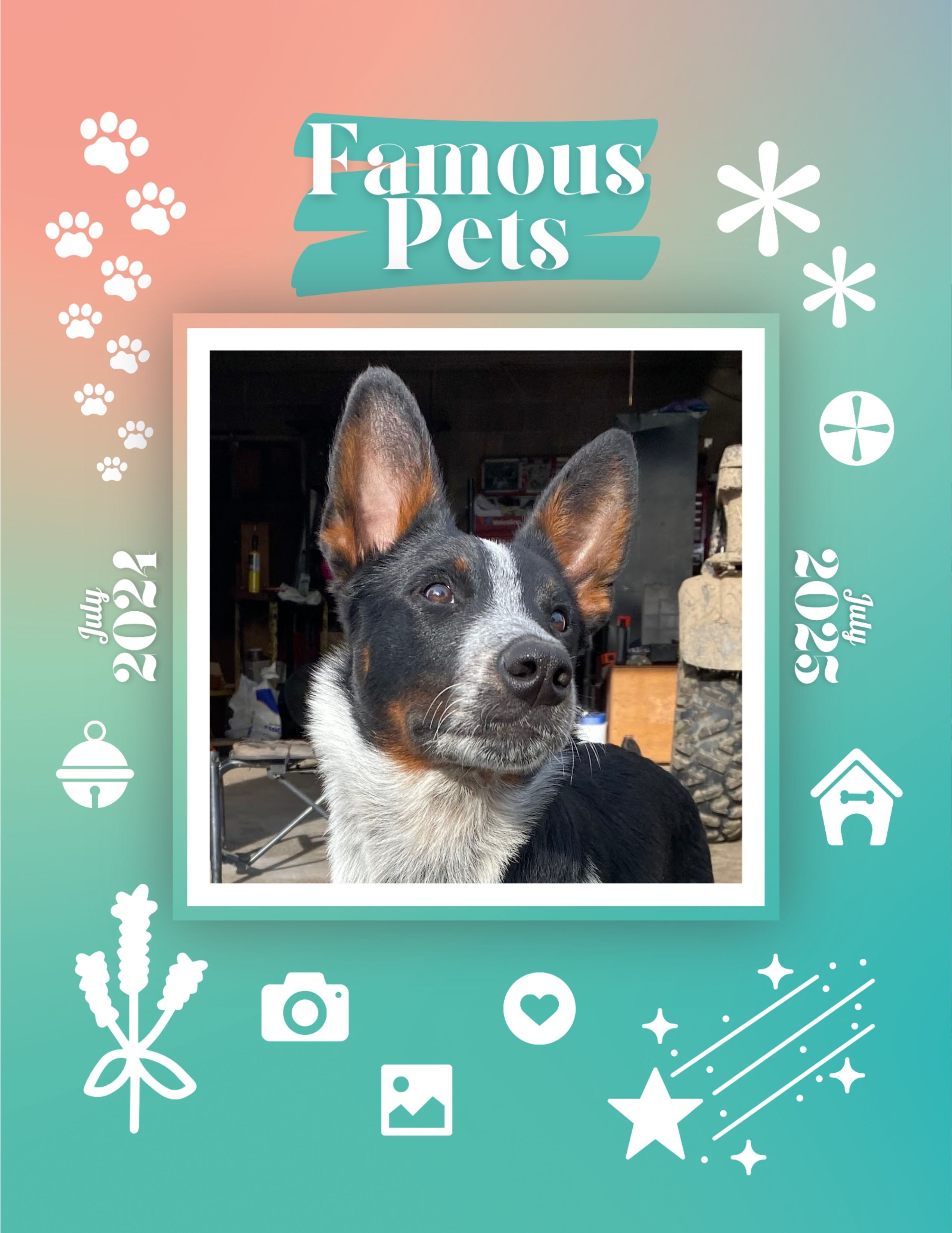 Famous Pets: July 2024-July 2025 Wall Calendar (Pre-Order)