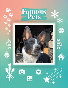 Famous Pets: July 2024-July 2025 Wall Calendar (Pre-Order)