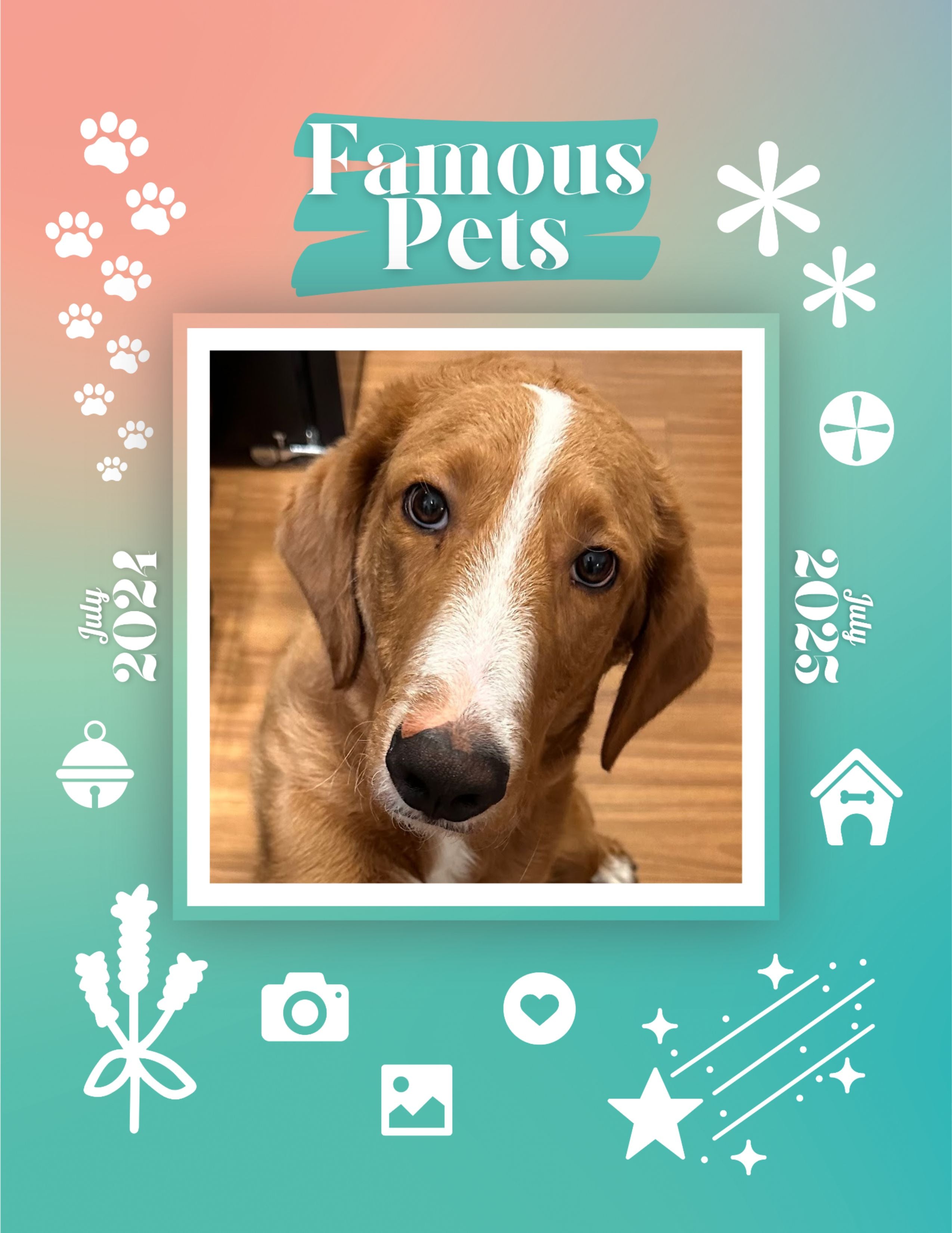 Famous Pets: July 2024-July 2025 Wall Calendar (Pre-Order)