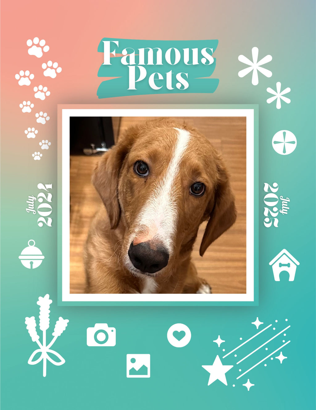 Famous Pets: July 2024-July 2025 Wall Calendar (Pre-Order)