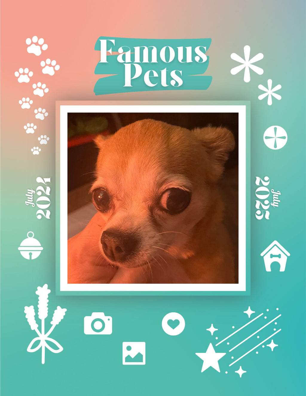 Famous Pets: July 2024-July 2025 Wall Calendar (Pre-Order)