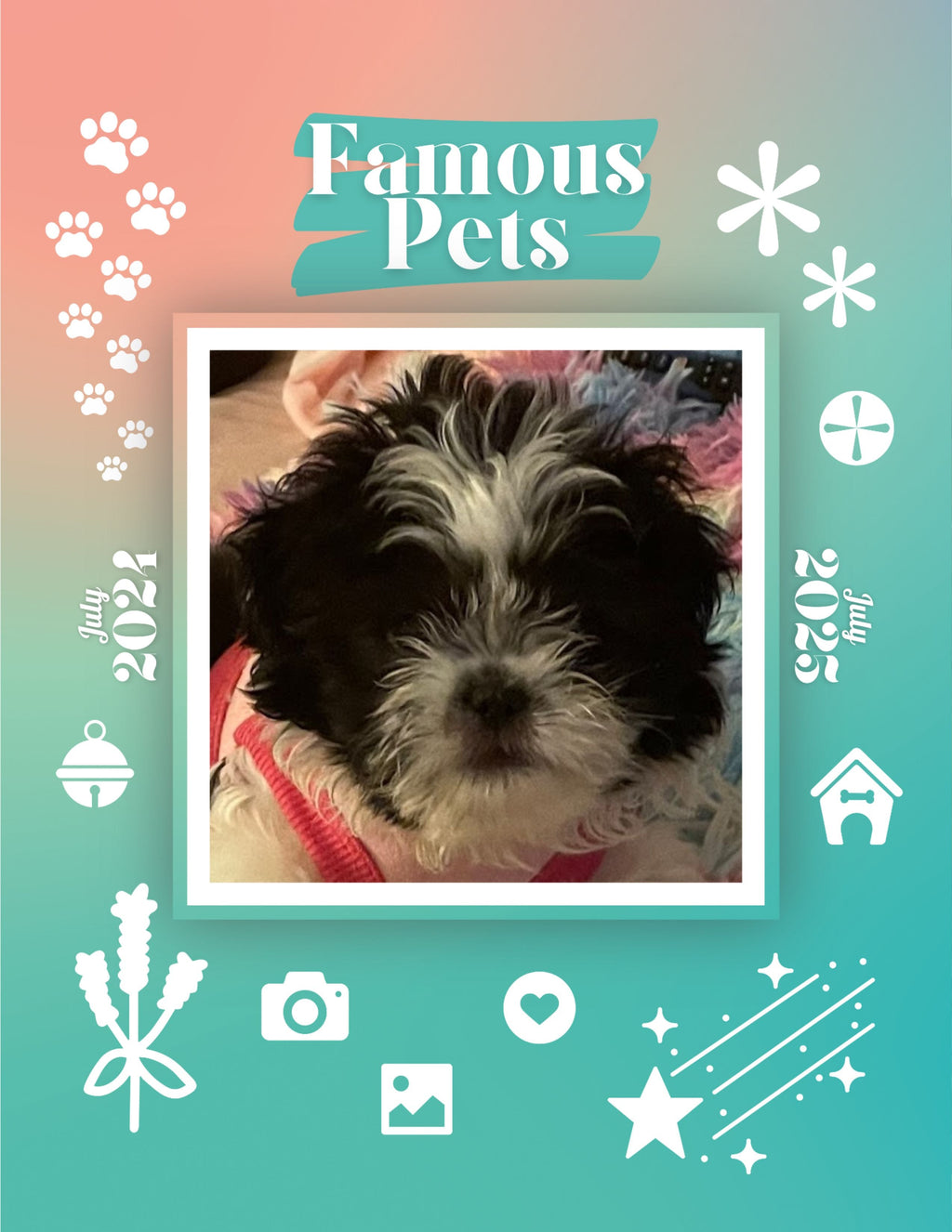 Famous Pets: July 2024-July 2025 Wall Calendar (Pre-Order)