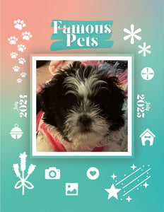 Famous Pets: July 2024-July 2025 Wall Calendar (Pre-Order)