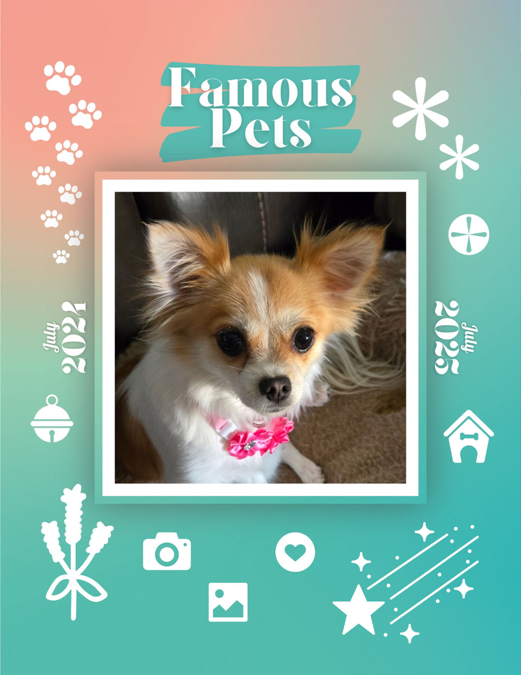 Famous Pets: July 2024-July 2025 Wall Calendar (Pre-Order)