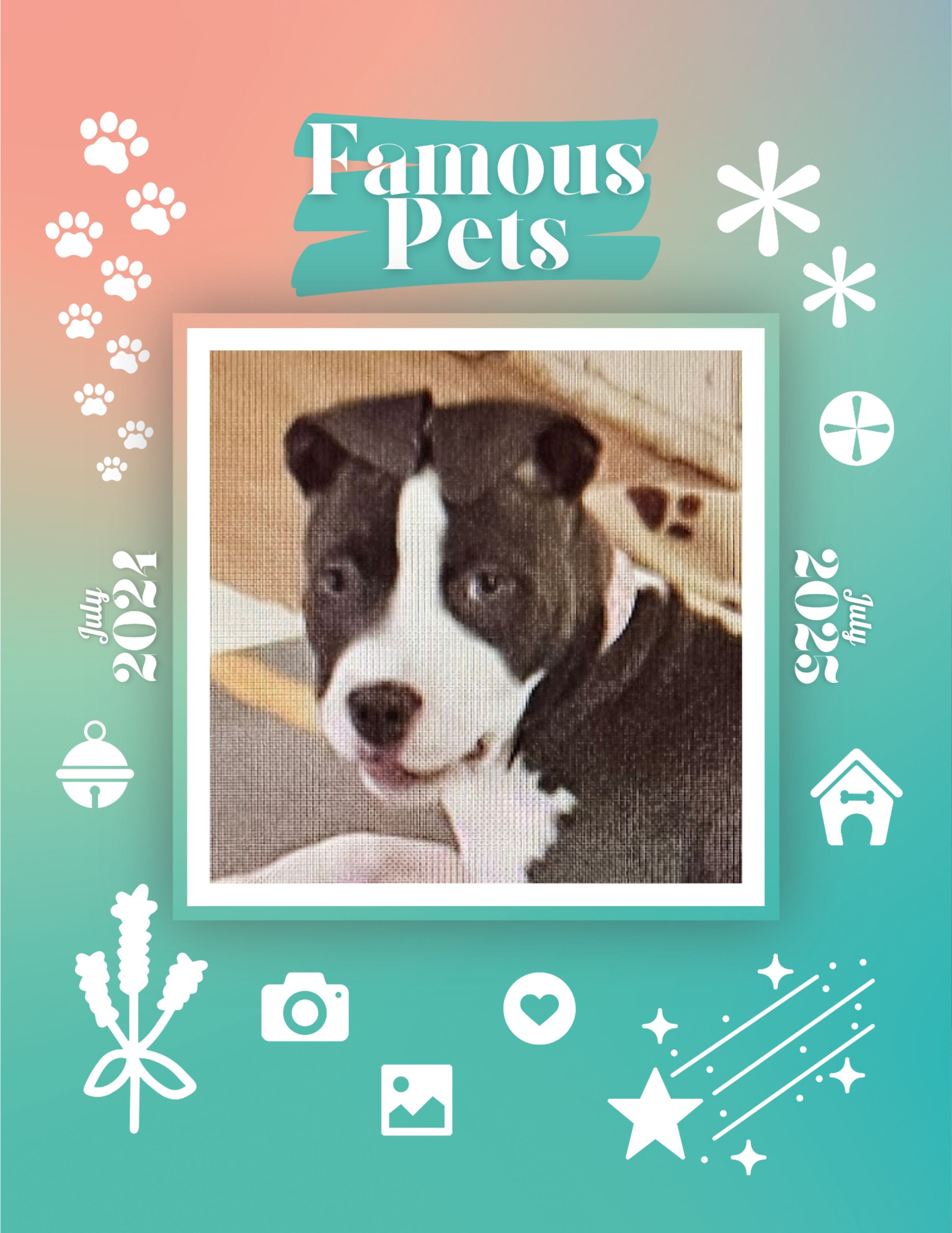Famous Pets: July 2024-July 2025 Wall Calendar (Pre-Order)