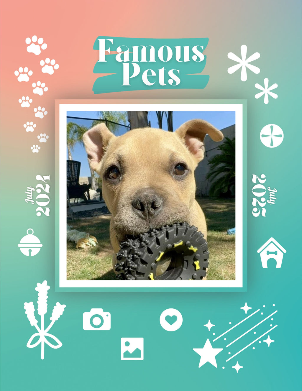 Famous Pets: July 2024-July 2025 Wall Calendar (Pre-Order)