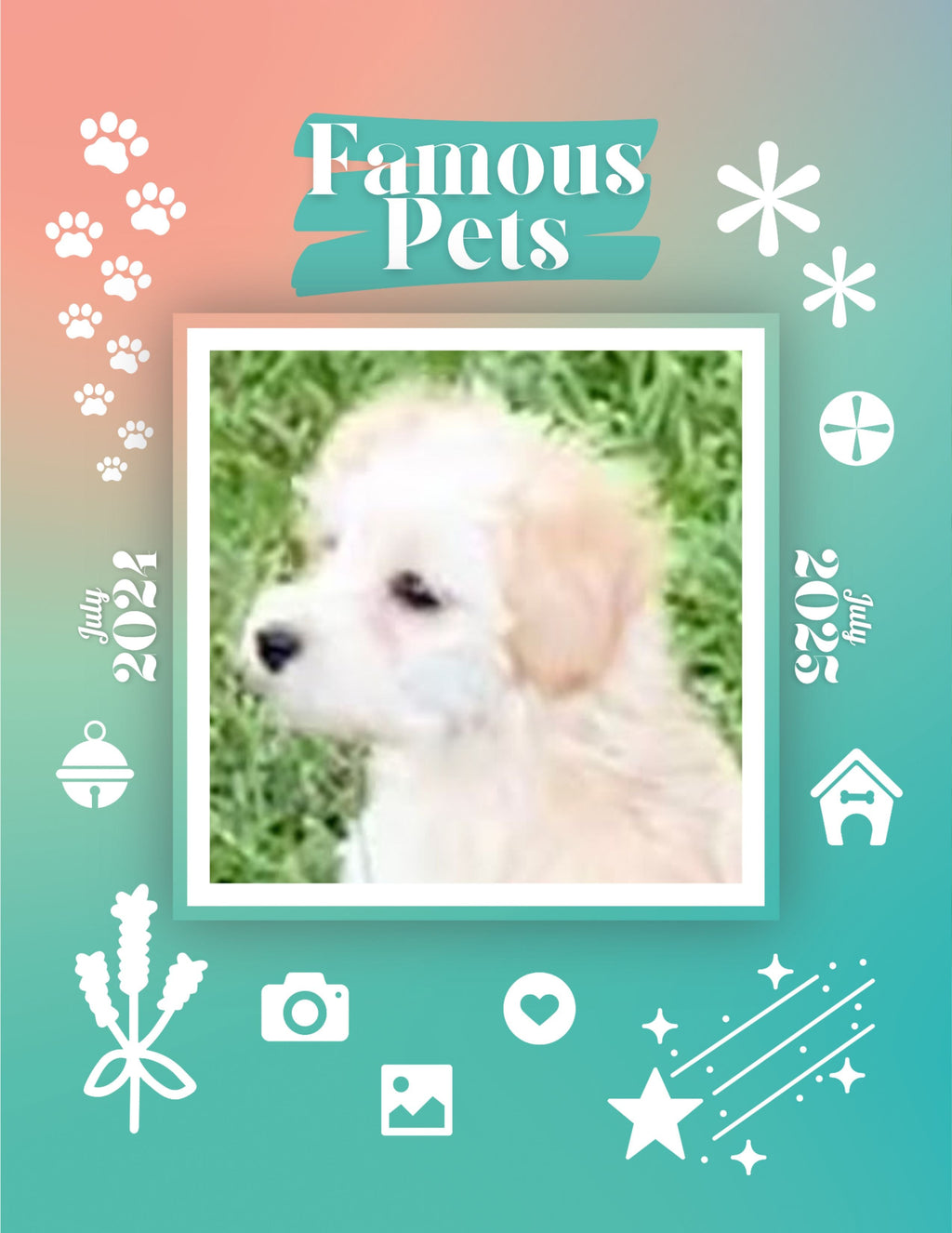 Famous Pets: July 2024-July 2025 Wall Calendar (Pre-Order)