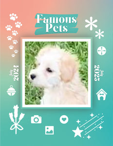 Famous Pets: July 2024-July 2025 Wall Calendar (Pre-Order)