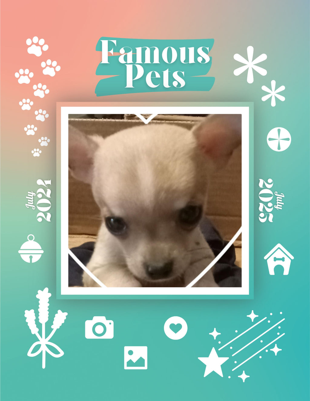 Famous Pets: July 2024-July 2025 Wall Calendar (Pre-Order)