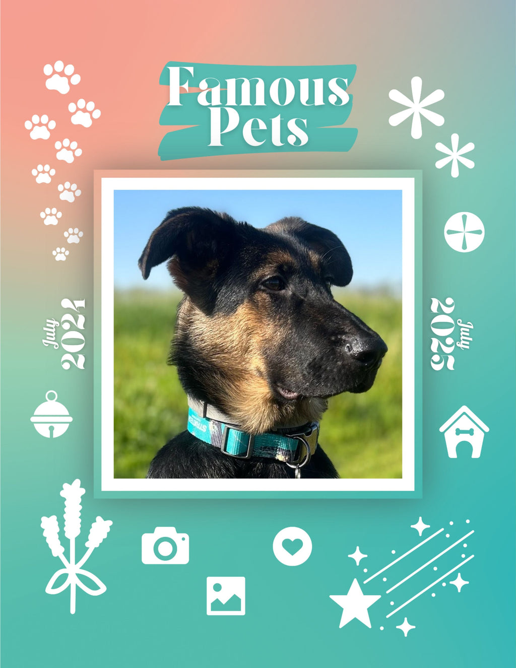 Famous Pets: July 2024-July 2025 Wall Calendar (Pre-Order)