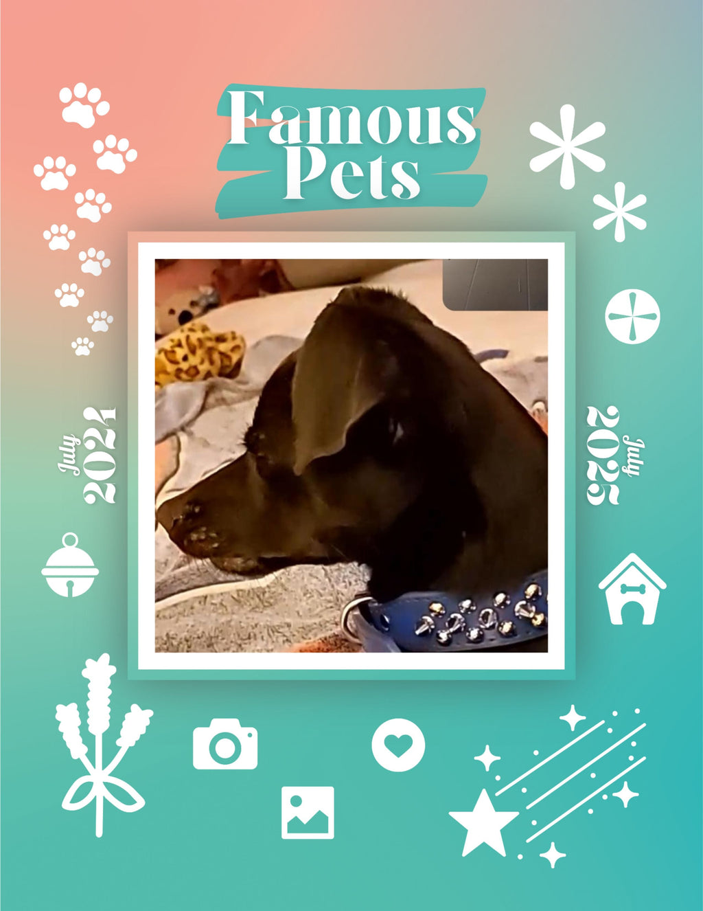 Famous Pets: July 2024-July 2025 Wall Calendar (Pre-Order)