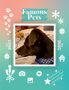 Famous Pets: July 2024-July 2025 Wall Calendar (Pre-Order)