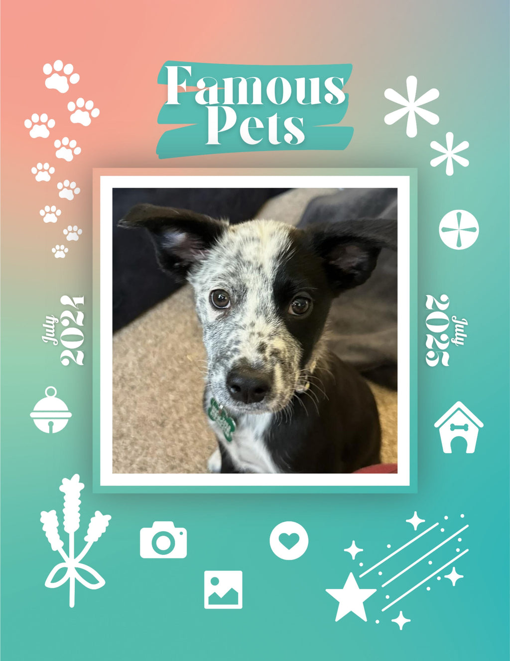 Famous Pets: July 2024-July 2025 Wall Calendar (Pre-Order)