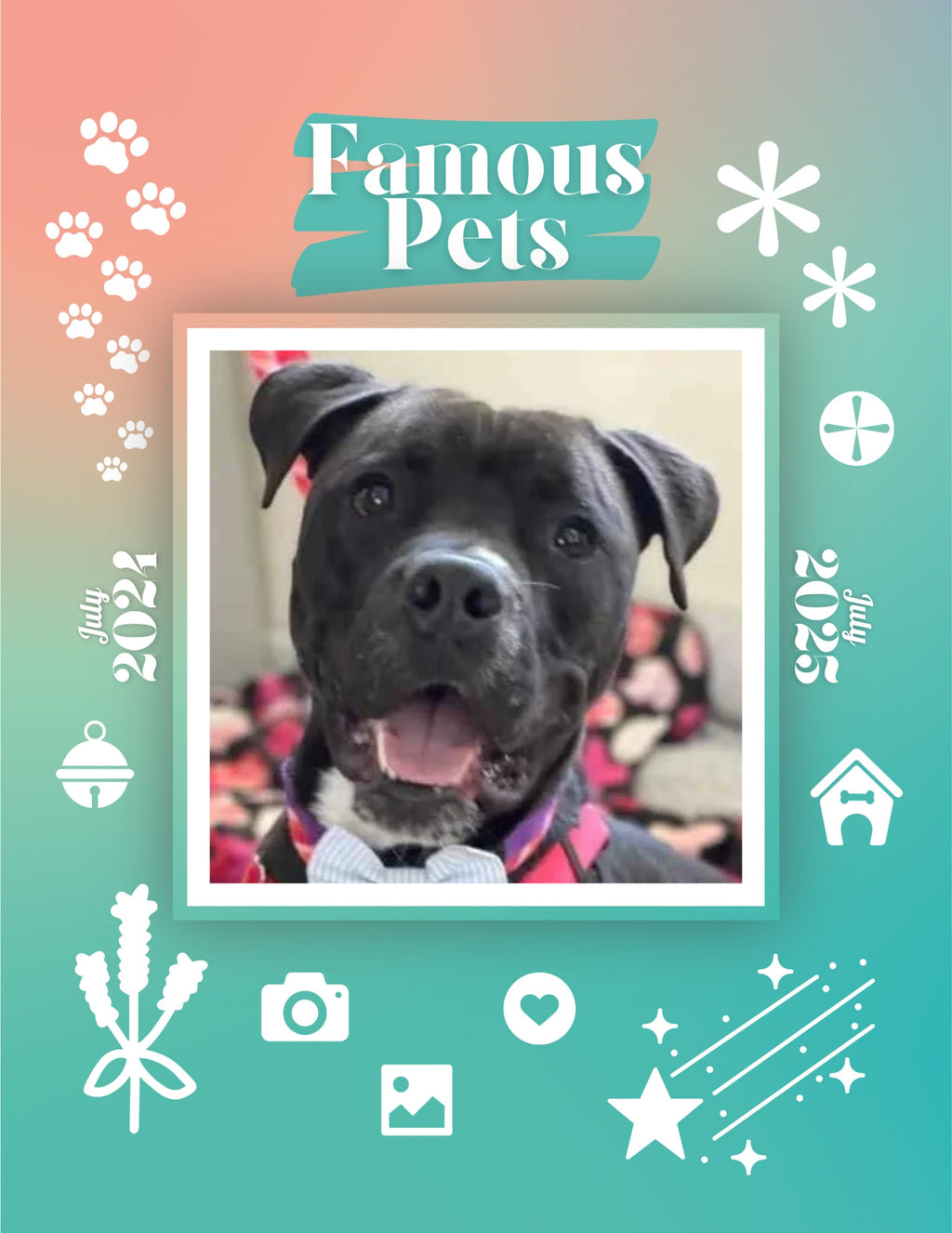 Famous Pets: July 2024-July 2025 Wall Calendar (Pre-Order)