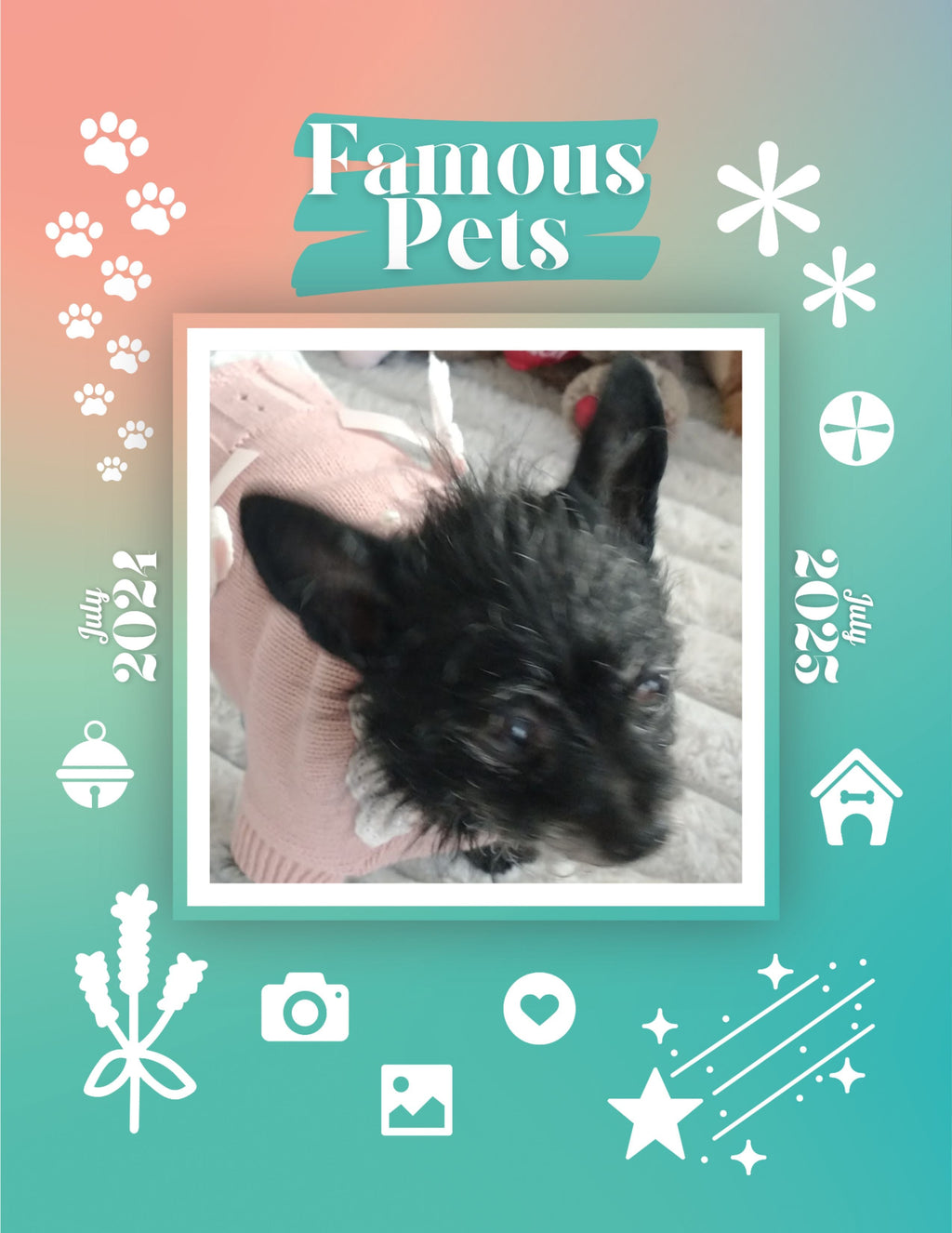 Famous Pets: July 2024-July 2025 Wall Calendar (Pre-Order)