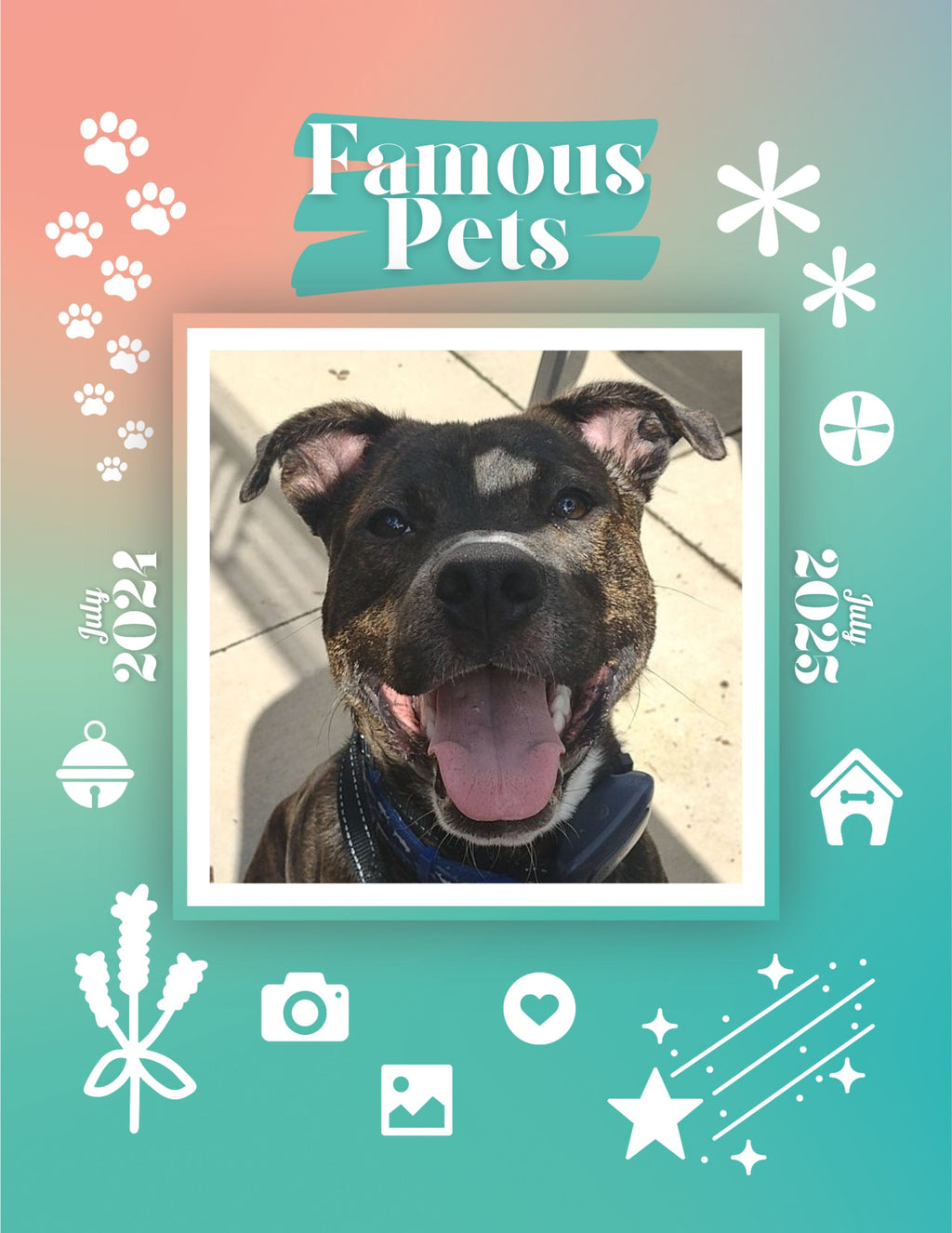 Famous Pets: July 2024-July 2025 Wall Calendar (Pre-Order)