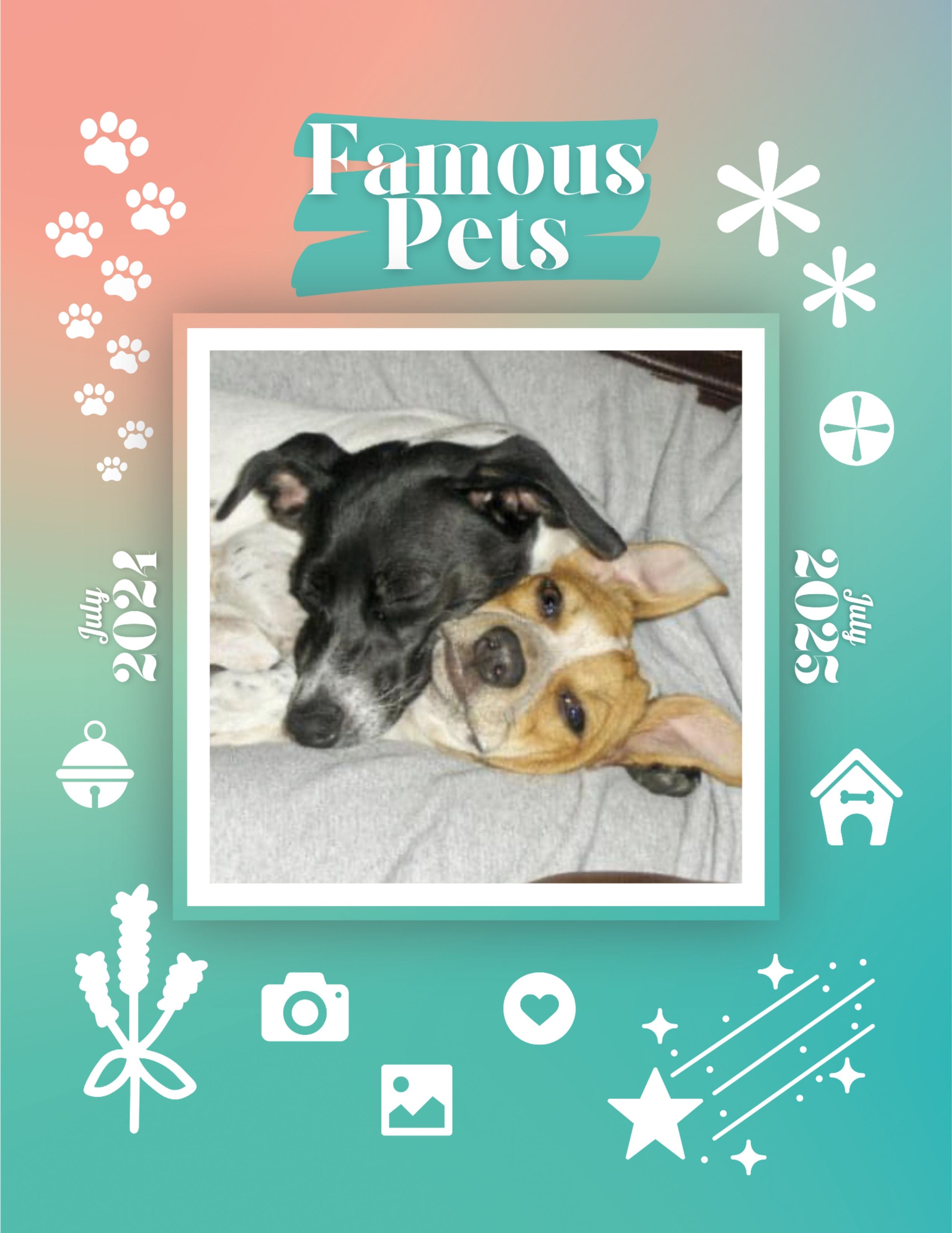 Famous Pets: July 2024-July 2025 Wall Calendar (Pre-Order)