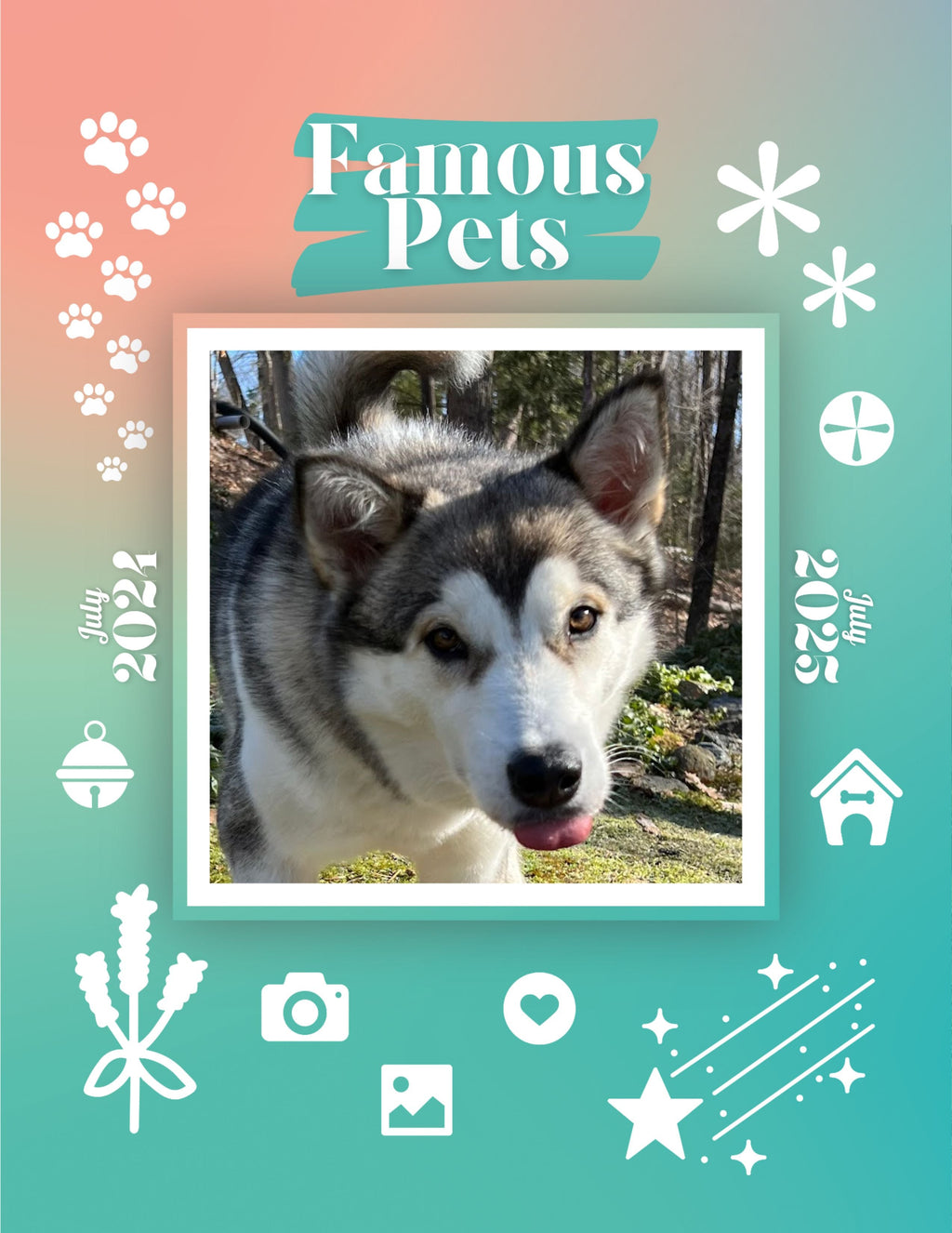 Famous Pets: July 2024-July 2025 Wall Calendar (Pre-Order)