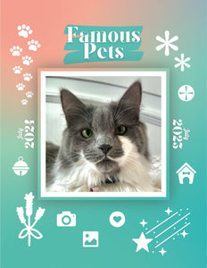 Famous Pets: July 2024-July 2025 Wall Calendar (Pre-Order)