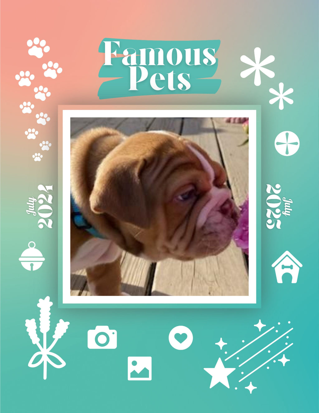 Famous Pets: July 2024-July 2025 Wall Calendar (Pre-Order)