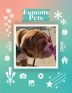 Famous Pets: July 2024-July 2025 Wall Calendar (Pre-Order)