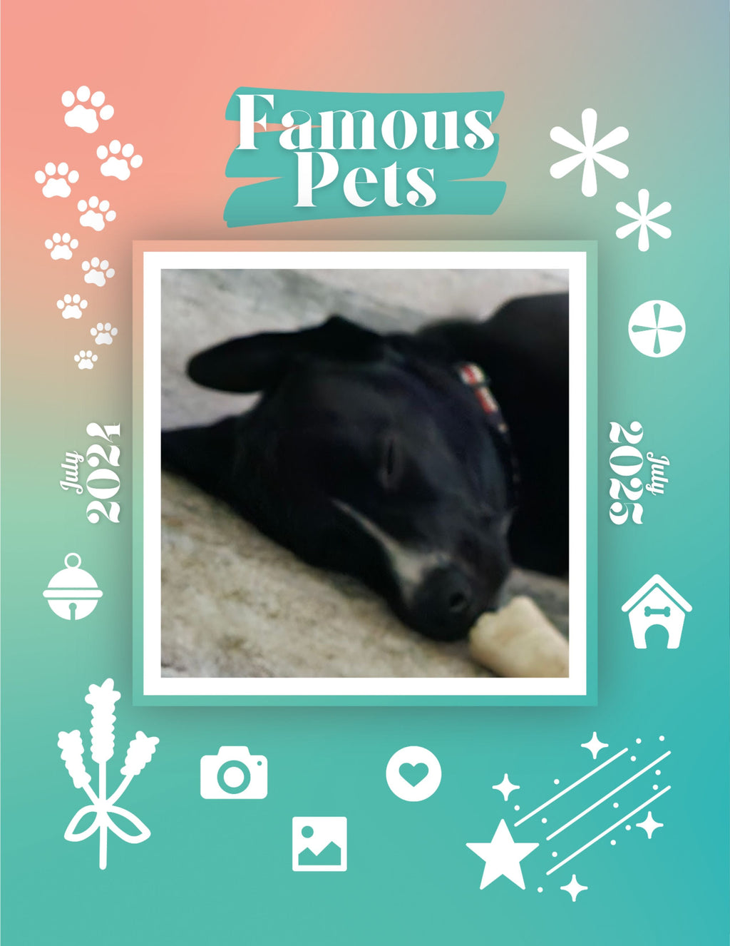 Famous Pets: July 2024-July 2025 Wall Calendar (Pre-Order)