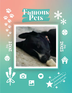 Famous Pets: July 2024-July 2025 Wall Calendar (Pre-Order)