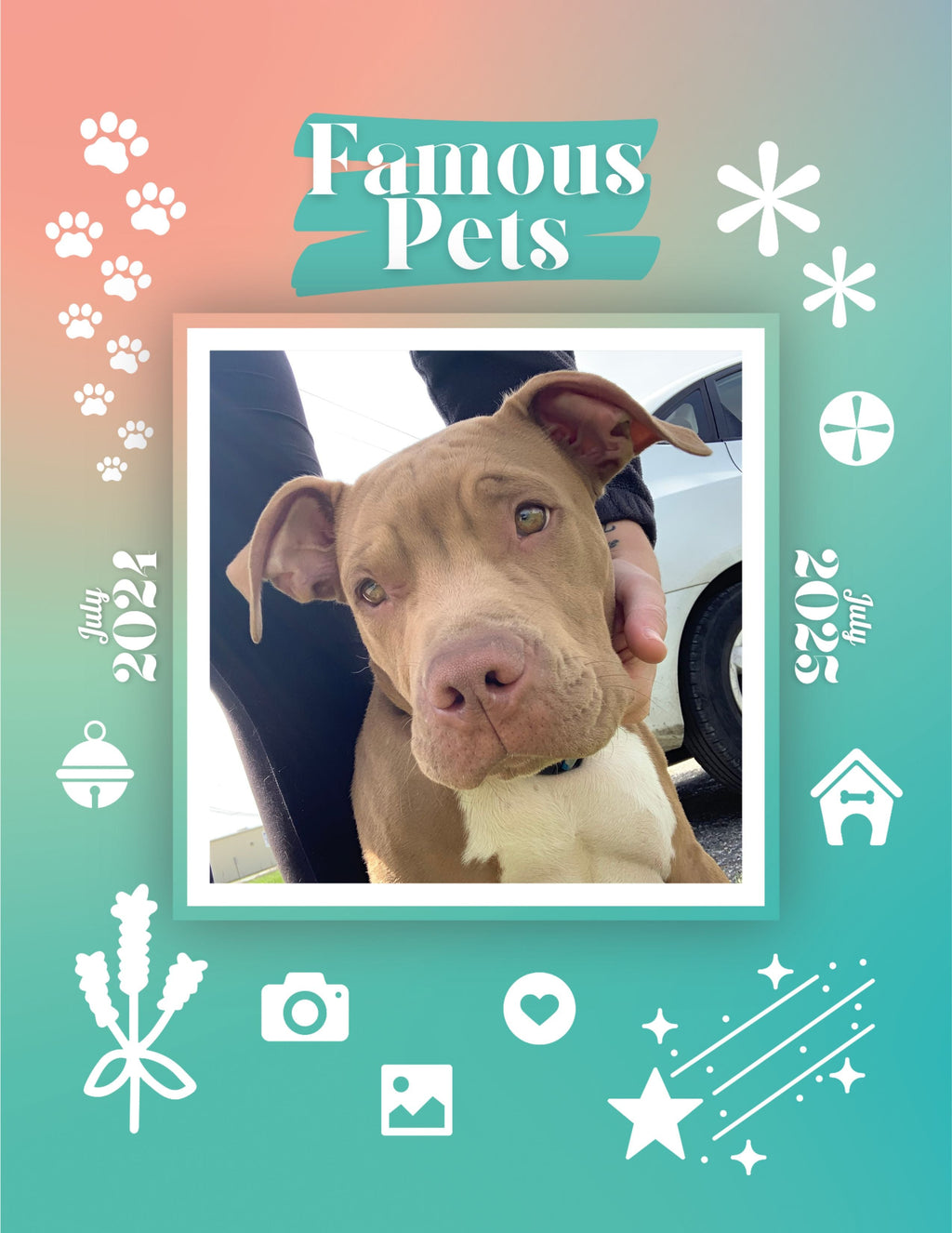 Famous Pets: July 2024-July 2025 Wall Calendar (Pre-Order)