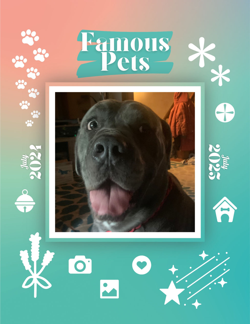 Famous Pets: July 2024-July 2025 Wall Calendar (Pre-Order)