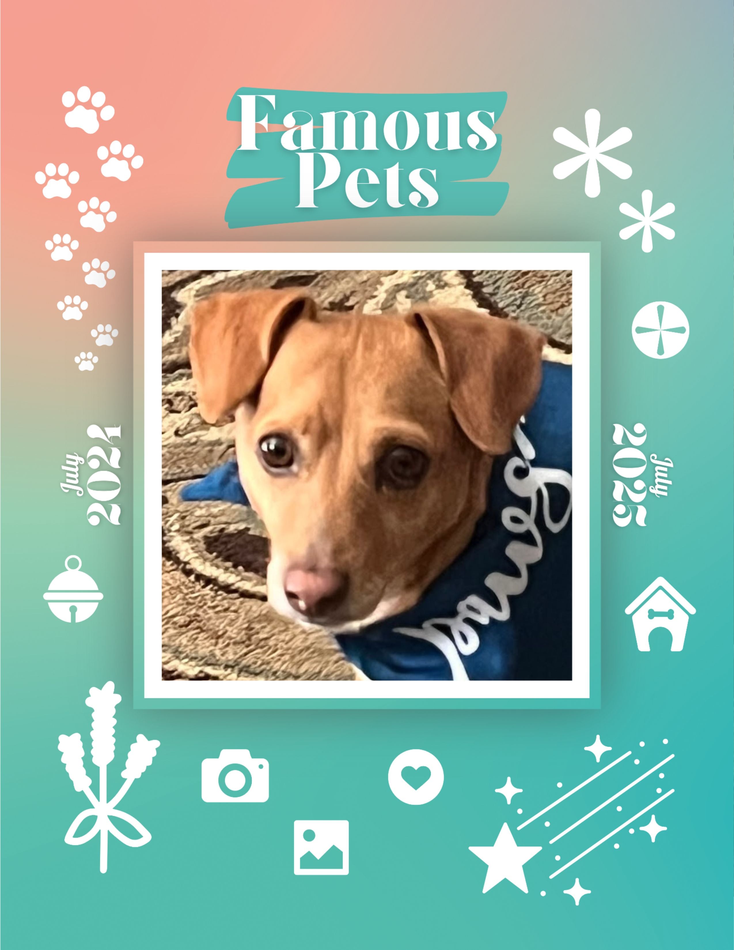 Famous Pets: July 2024-July 2025 Wall Calendar (Pre-Order)
