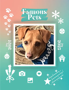 Famous Pets: July 2024-July 2025 Wall Calendar (Pre-Order)