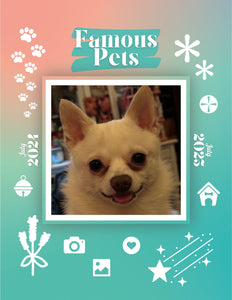 Famous Pets: July 2024-July 2025 Wall Calendar (Pre-Order)