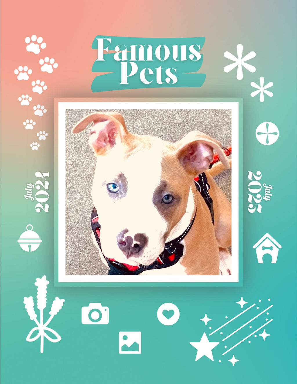 Famous Pets: July 2024-July 2025 Wall Calendar (Pre-Order)