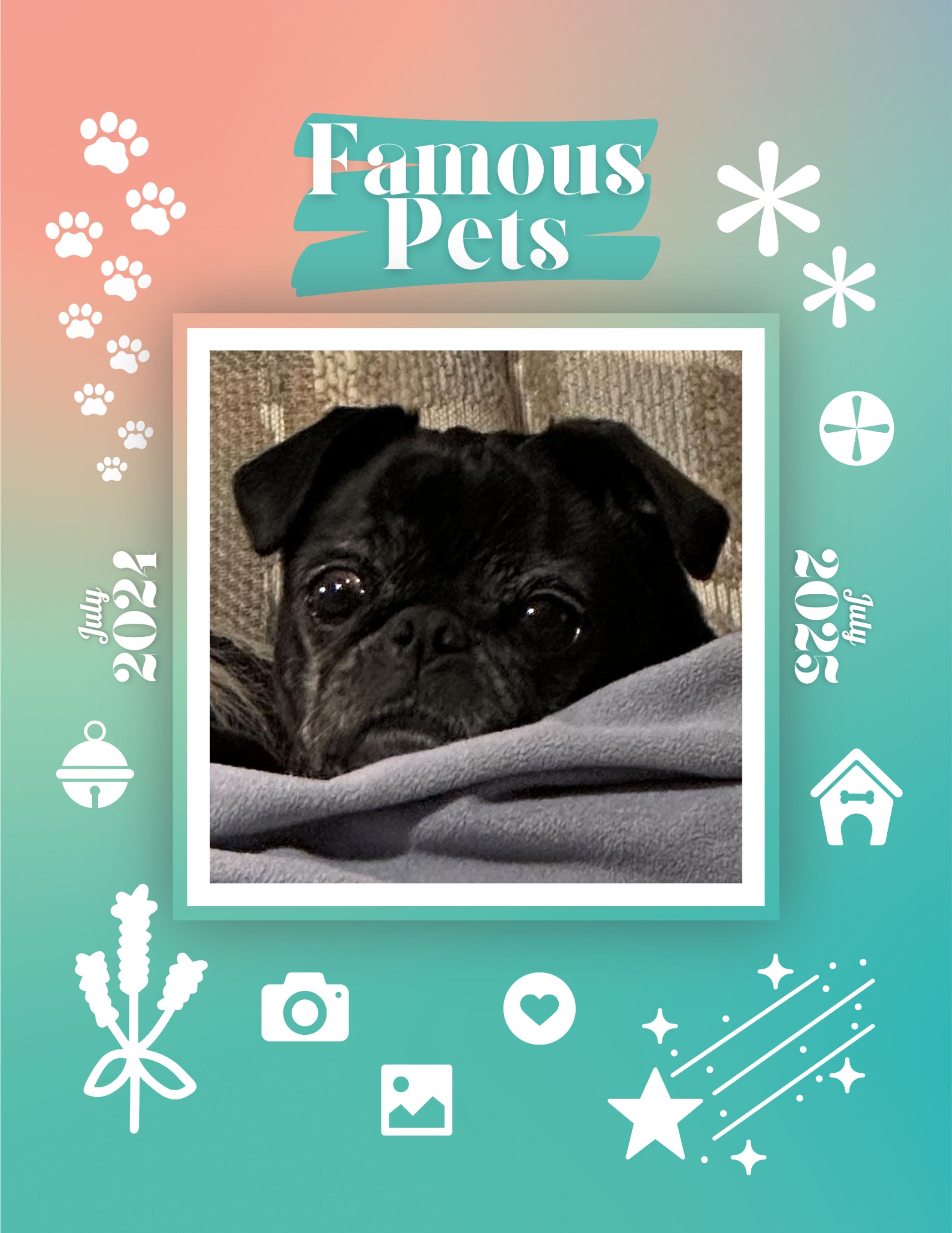 Famous Pets: July 2024-July 2025 Wall Calendar (Pre-Order)