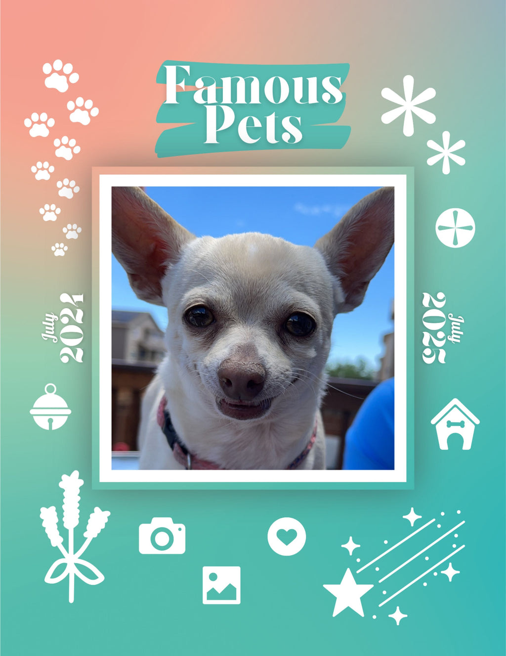 Famous Pets: July 2024-July 2025 Wall Calendar (Pre-Order)