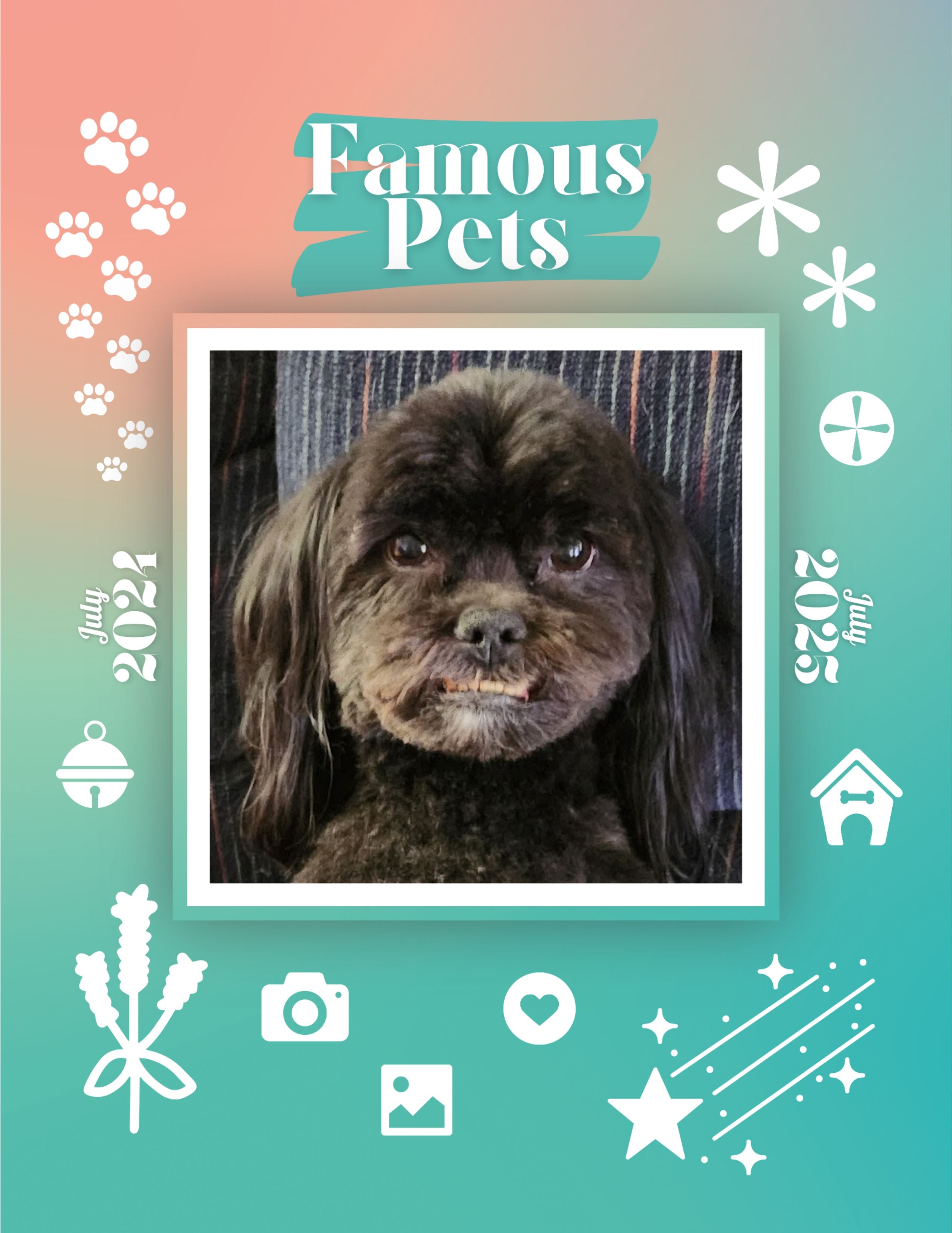 Famous Pets: July 2024-July 2025 Wall Calendar (Pre-Order)