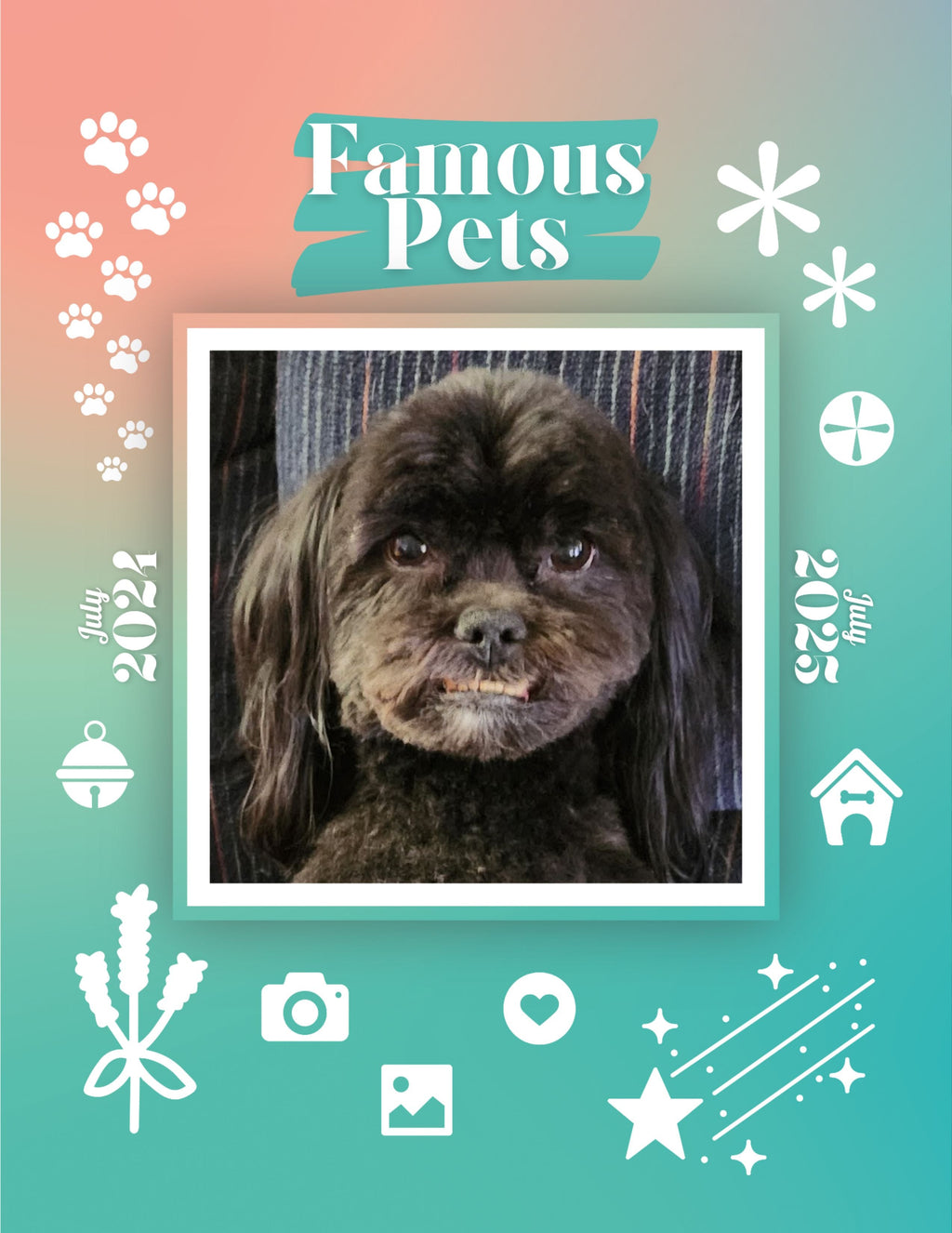 Famous Pets: July 2024-July 2025 Wall Calendar (Pre-Order)