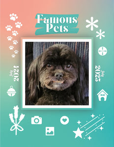 Famous Pets: July 2024-July 2025 Wall Calendar (Pre-Order)