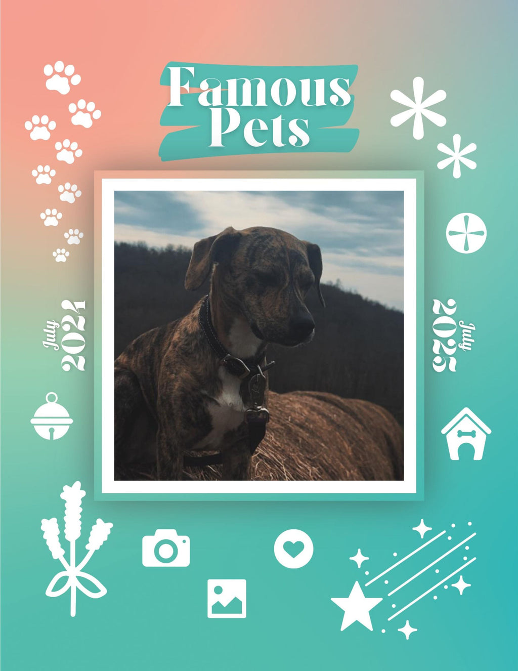 Famous Pets: July 2024-July 2025 Wall Calendar (Pre-Order)