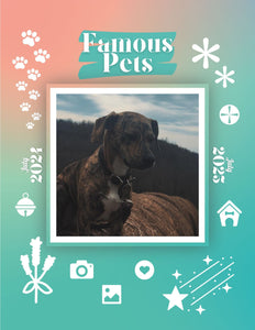 Famous Pets: July 2024-July 2025 Wall Calendar (Pre-Order)